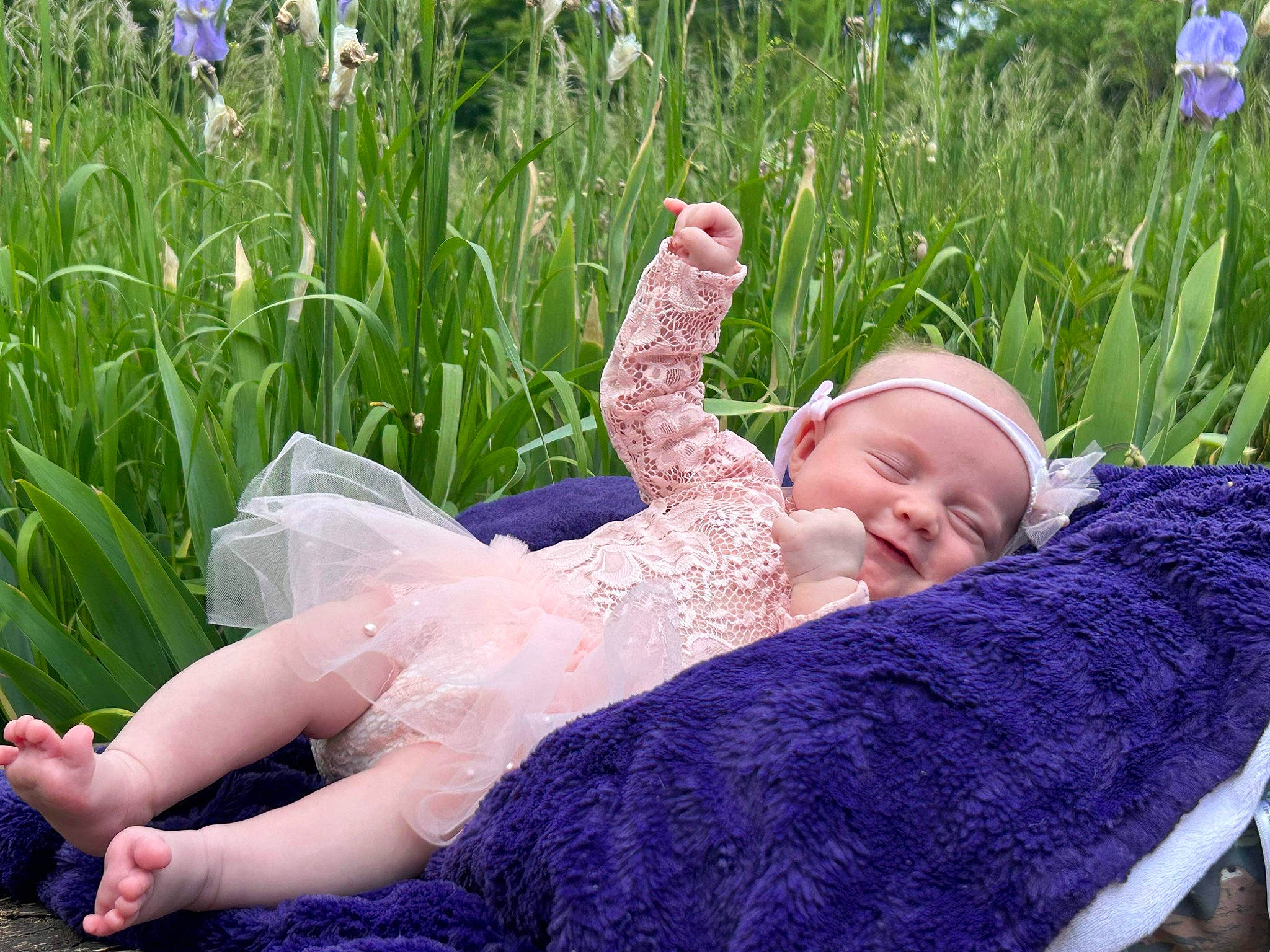 Haven is registered to the contest to win money with this photo: baby, baby_toddler_clothing, blue, botany, eye, facial_expression, finger, flower, grass, hand, happy, leaf, people_in_nature, person, plant, purple, skin, smile, summer, sunlight