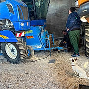 Rio participe au concours pour gagner de l'argent avec cette photo : accessories, adult, animal, bus, canine, clothing, dog, footwear, glasses, machine, male, man, person, pet, shoe, tire, transportation, vehicle, wheel, worker