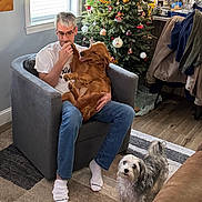 Morgan is registered to the contest to win money with this photo: man, golden_retriever, small_dog, armchair, window, christmas_tree, ornaments, rug, indoor, carpet, jeans, socks, glasses, kitchen, decorations, holiday, pet, furniture, dog, person