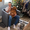 man, golden_retriever, small_dog, armchair, window, christmas_tree, ornaments, rug, indoor, carpet, jeans, socks, glasses, kitchen, decorations, holiday, pet, furniture, dog, person