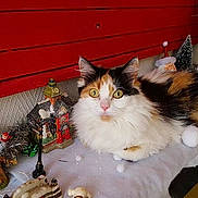 Athena a rejoint le concours — aidez-le/la à gagner de superbes lots !