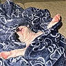 Missi is registered to the contest to win money with this photo: dog, puppy, hairless_dog, sleeping, lying_down, belly_up, paws, pink_skin, blanket, couch, indoor, pet, cute, cozy, nap, relaxed, flash_photography, textured_fabric, portrait, home