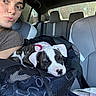 puppy, dog, person, selfie, car, vehicle, pet_carrier, mesh_bag, road_trip, seated, face, kissy_face, sleepy, brindle, white_and_brown, collar, bow, animal, indoors, portrait