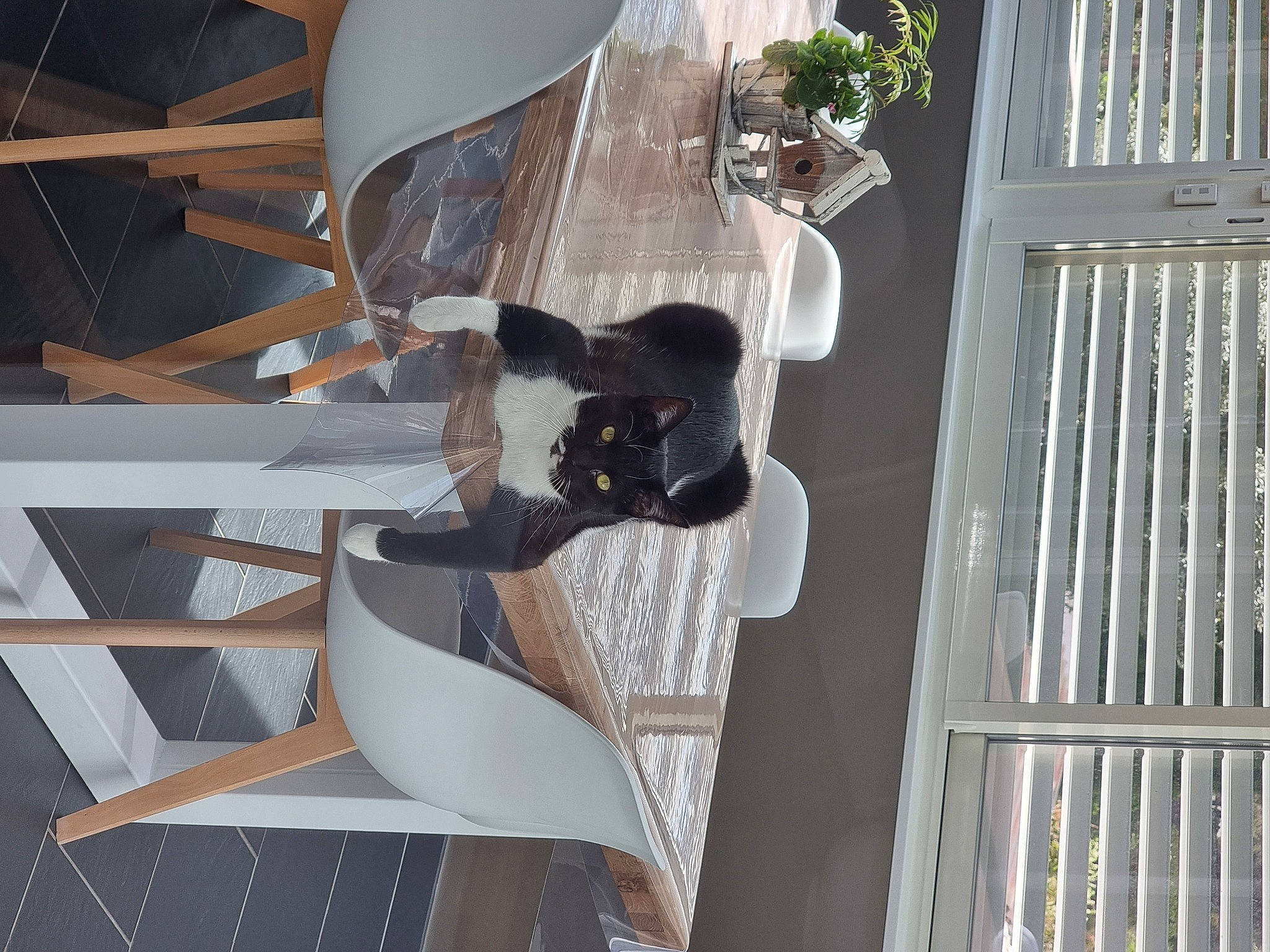 Ruby participe au concours pour gagner de l'argent avec cette photo : building, composite_material, daylighting, dress, facade, flowerpot, handrail, hardwood, house, leisure, metal, plant, room, sculpture, stairs, tree, urban_design, water, window, wood