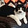 Kit Kitterson