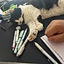Zelda is registered to the contest to win money with this photo: cat, black_and_white, sleeping, pens, notebook, hand, desk, writing_instruments, indoor, feline, paw, resting, stationery, closeup, relaxation, person, table, fur, domestic_animal, peaceful