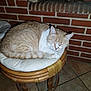 brick_wall, cat, closed_eyes, cozy, cushion, domestic_cat, fireplace, fur, home, indoor, logs, napping, orange_tabby, paws, pet, rattan_stool, sleeping, tile_floor, whiskers, wicker