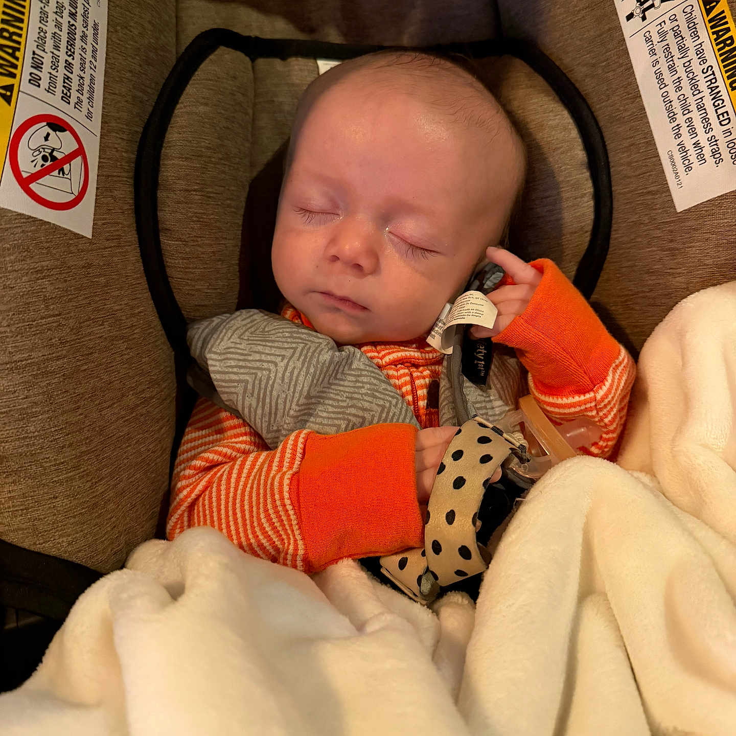 Carter joined the competition — help win amazing prizes! baby, infant, sleeping, car_seat, blanket, mitten, sweater, orange, striped_clothing, cozy, portrait, face, closed_eyes, indoors, vehicle, safety_label, cuddled, newborn, resting, photograph