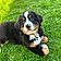 Tucker