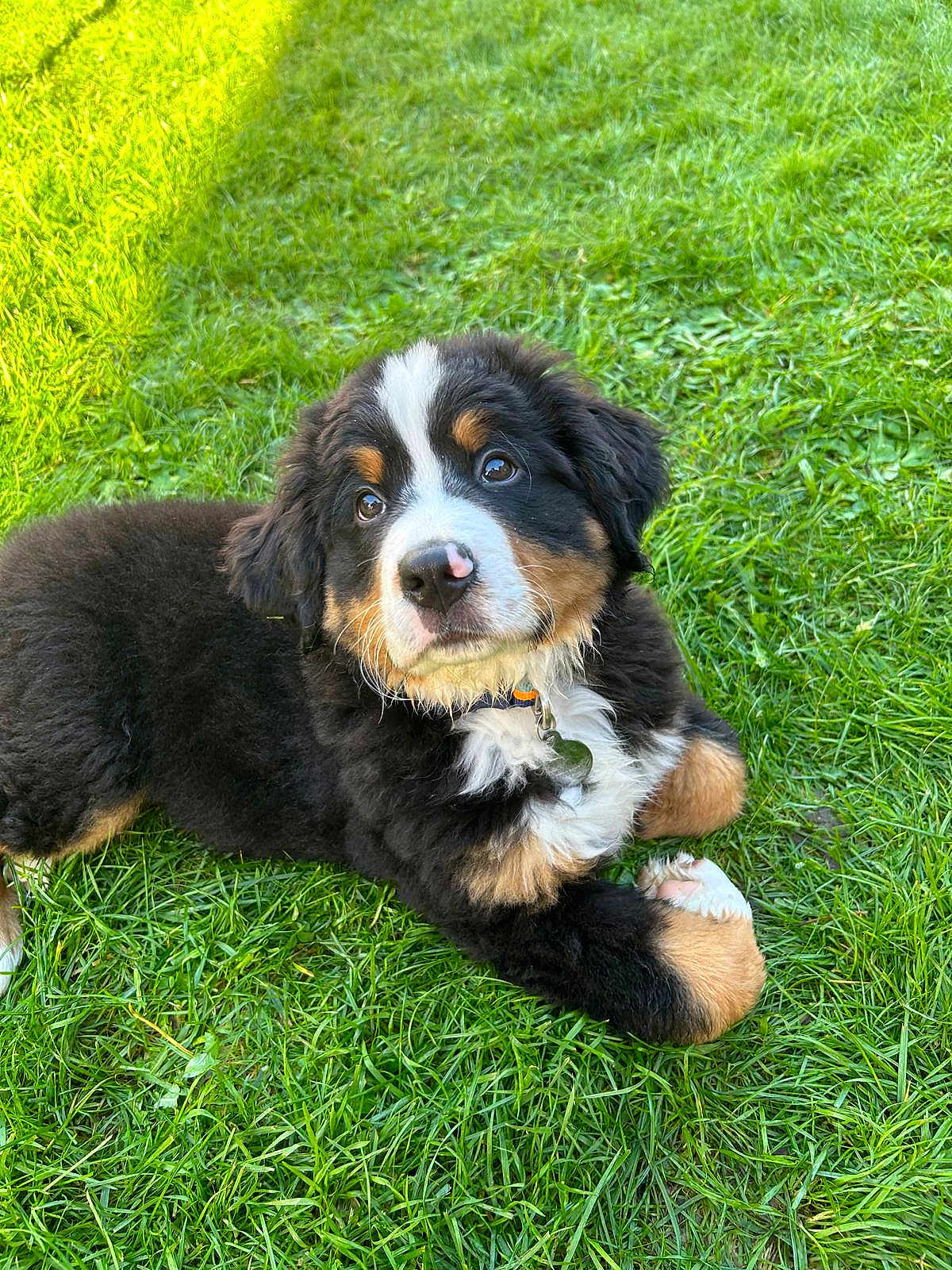Tucker