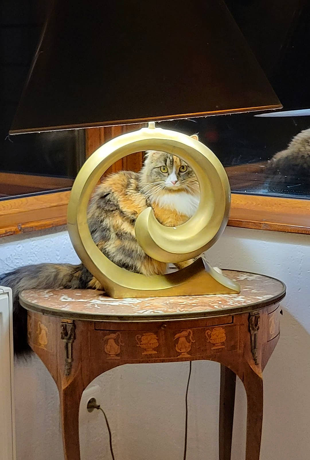 Malo participe au concours pour gagner de l'argent avec cette photo : auto_part, automotive_tire, automotive_wheel_system, chest_of_drawers, circle, dishware, drawer, hardwood, interior_design, metal, plywood, porcelain, pottery, rim, room, serveware, table, tableware, wood, wood_stain