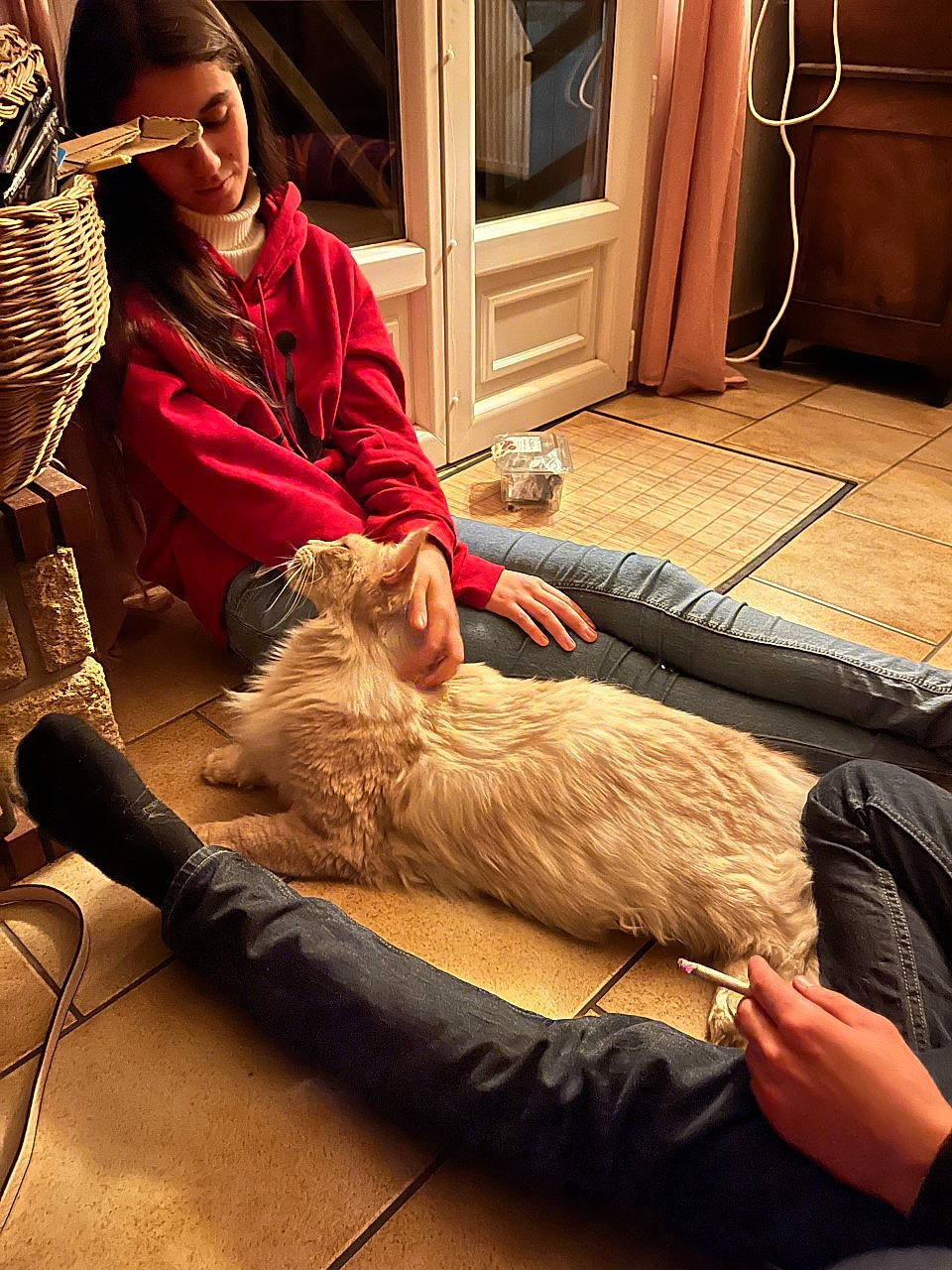 Marvel participe au concours pour gagner de l'argent avec cette photo : carnivore, cat, comfort, companion_dog, dog_breed, domestic_short_haired_cat, fawn, felidae, floor, flooring, foot, fur, human_leg, lap, room, sitting, small_to_medium_sized_cats, textile, whiskers, wood