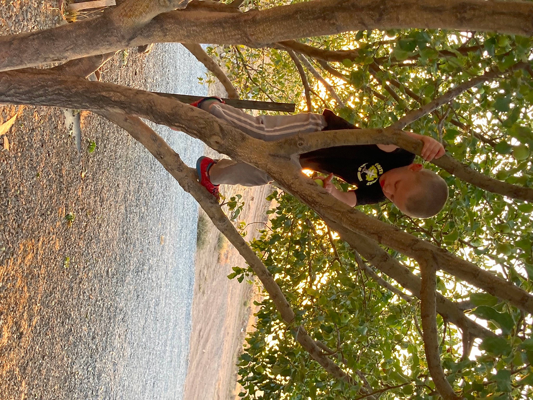 Jedidiah is registered to the contest to win money with this photo: botany, branch, grass, hat, landscape, leisure, people_in_nature, person, plant, shade, shadow, sunglasses, sunlight, tints_and_shades, tree, trunk, twig, vegetation, water, wood