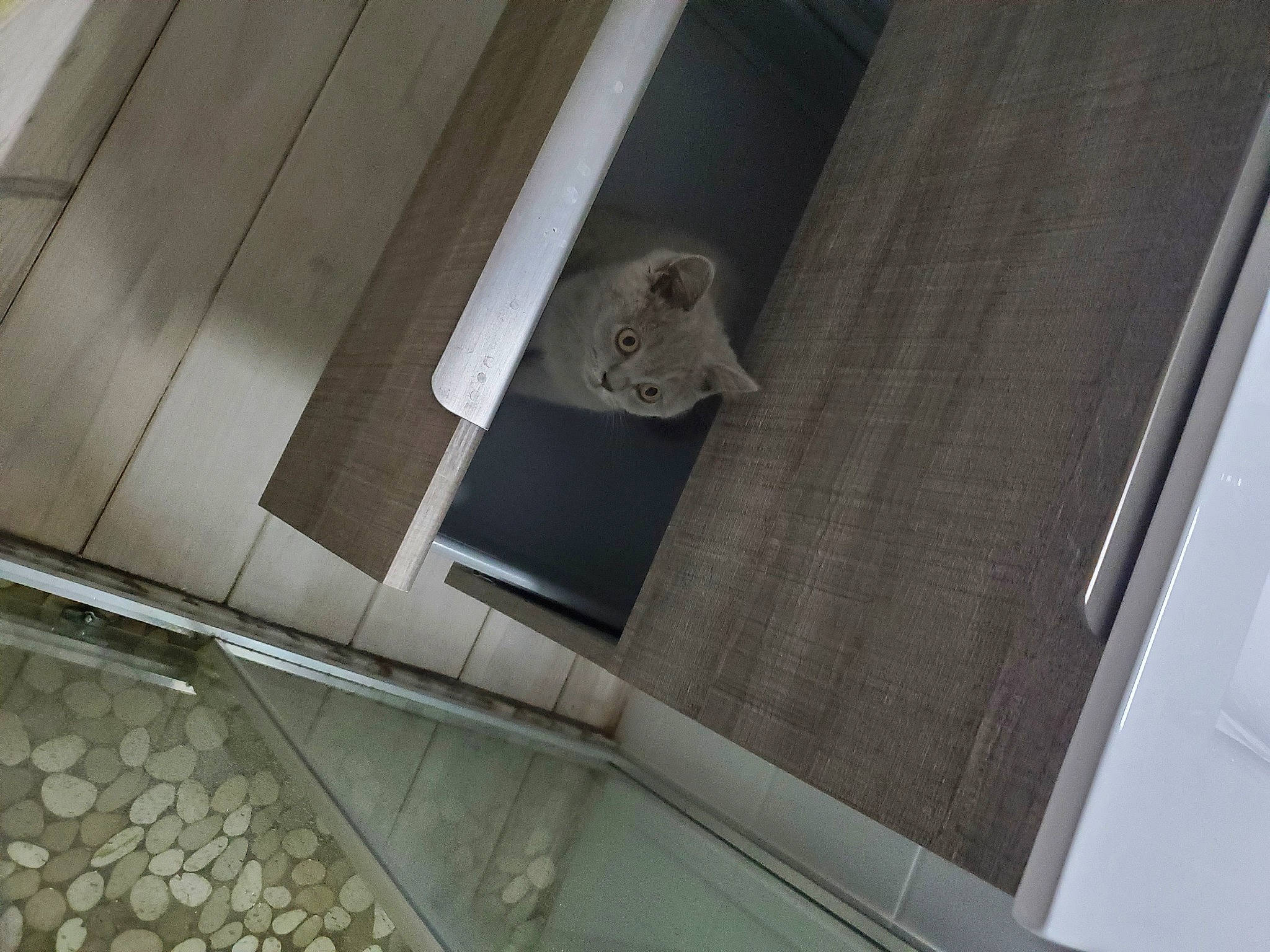 Ghjulia participe au concours pour gagner de l'argent avec cette photo : aluminium, automotive_exterior, beam, building, building_material, ceiling, composite_material, daylighting, facade, fixture, flooring, glass, material_property, metal, plywood, rectangle, roof, siding, steel, wood