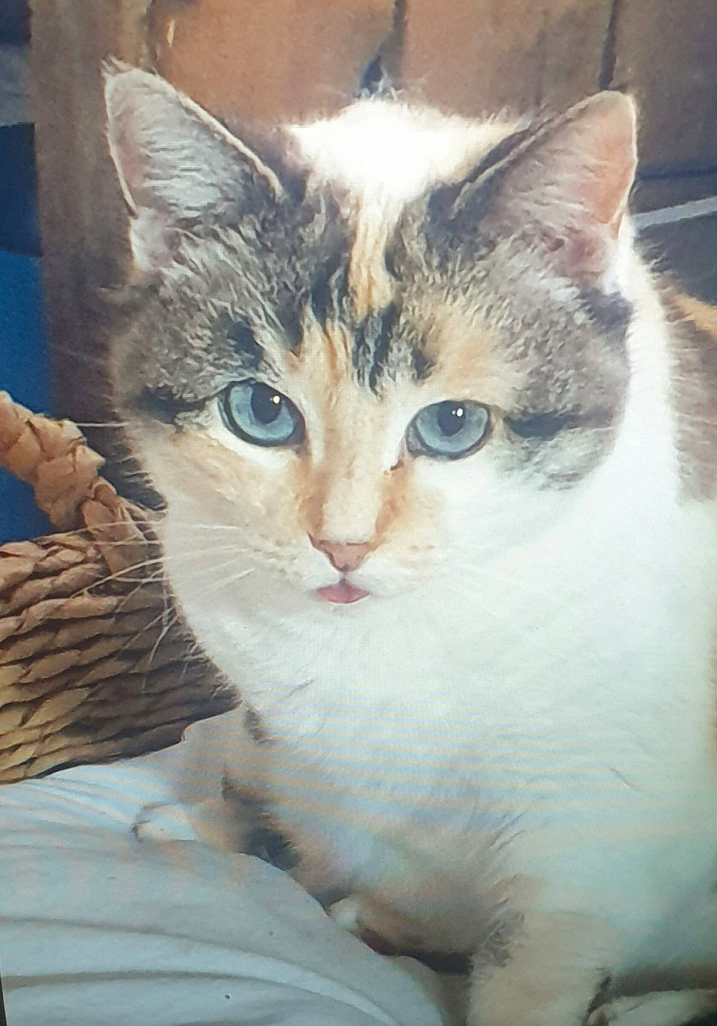 Marley participe au concours pour gagner de l'argent avec cette photo : art, carnivore, cat, domestic_short_haired_cat, door, felidae, fur, iris, paint, painting, paw, small_to_medium_sized_cats, snout, tail, visual_arts, watercolor_paint, whiskers