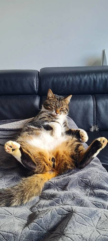 Ragnar