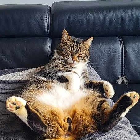 Ragnar