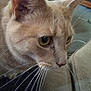 Saxby joined the competition — help win amazing prizes!