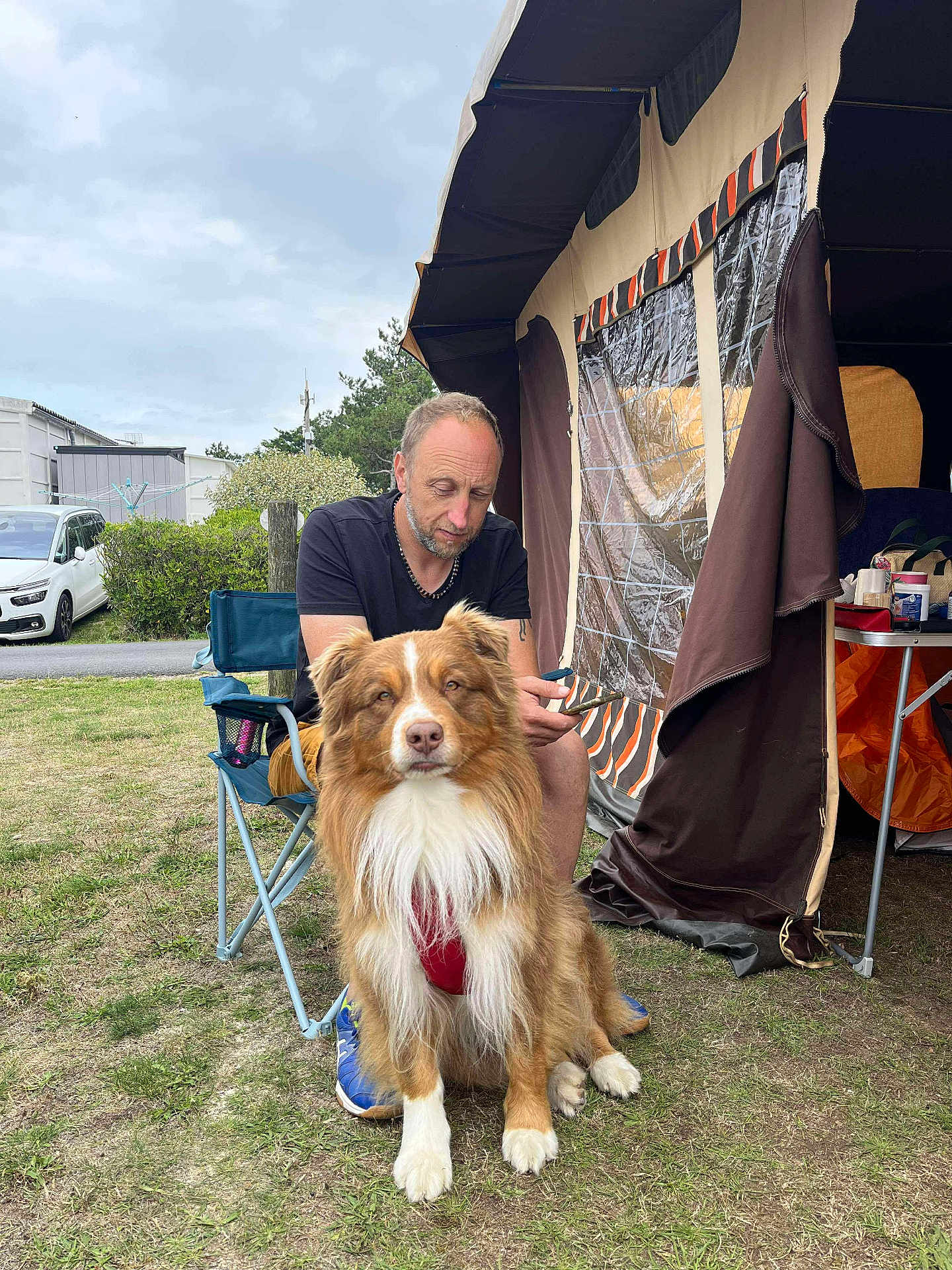 Ridley participe au concours pour gagner de l'argent avec cette photo : man, dog, camping, tent, outdoor, grass, chair, phone, pet, canine, leisure, nature, casual, summer, relaxation, beard, footwear, fence, vehicle, plastic_chair