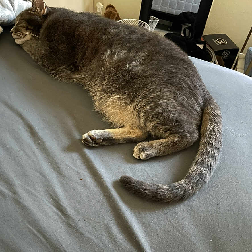 Lucy
