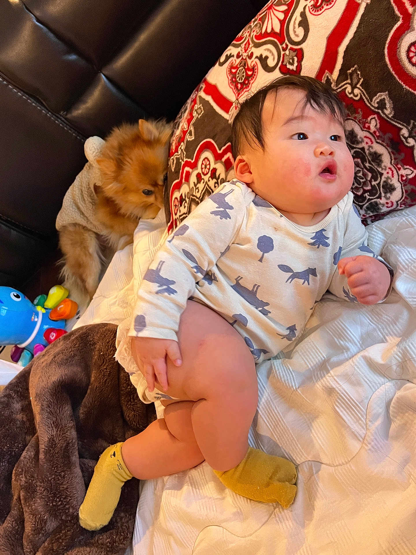 Kingston is registered to the contest to win money with this photo: baby, child, dog, pillow, blanket, bed, socks, clothing, animal_print, fur, pet, cute, infant, furniture, indoor, resting, toy, pattern, soft, cozy