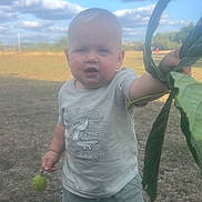 Alfie joined the competition — help win amazing prizes! blue_shoes, casual_clothing, child, clouds, curious, daylight, field, fruit, grass, green, leaf, nature, outdoor, portrait, shorts, sky, standing, summer, toddler, tshirt