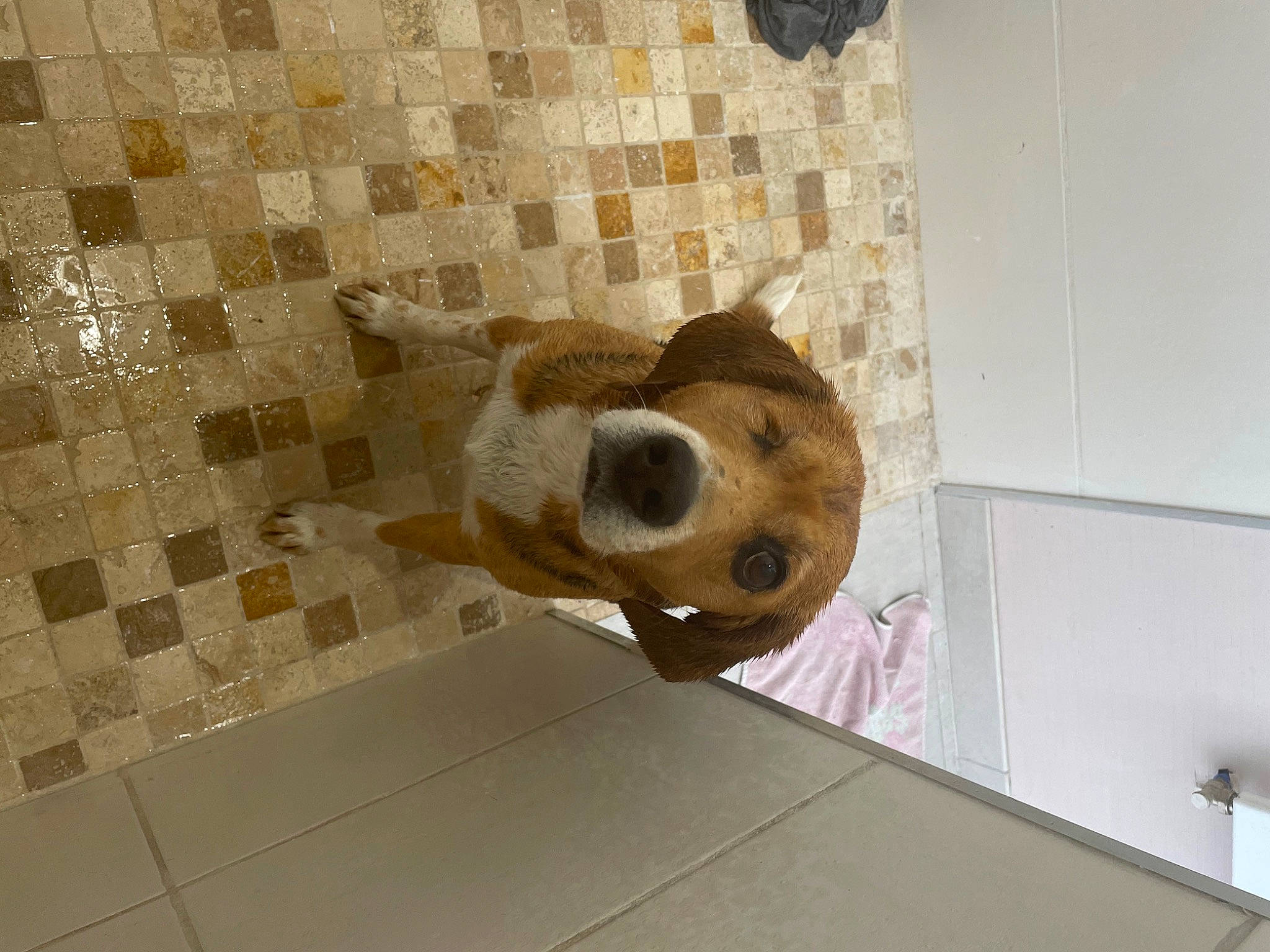 Layia participe au concours pour gagner de l'argent avec cette photo : art, brick, cardboard, ceiling, fawn, floor, flooring, fur, hardwood, metal, plywood, room, sculpture, snout, space, stuffed_toy, terrestrial_animal, tile, visual_arts, wood