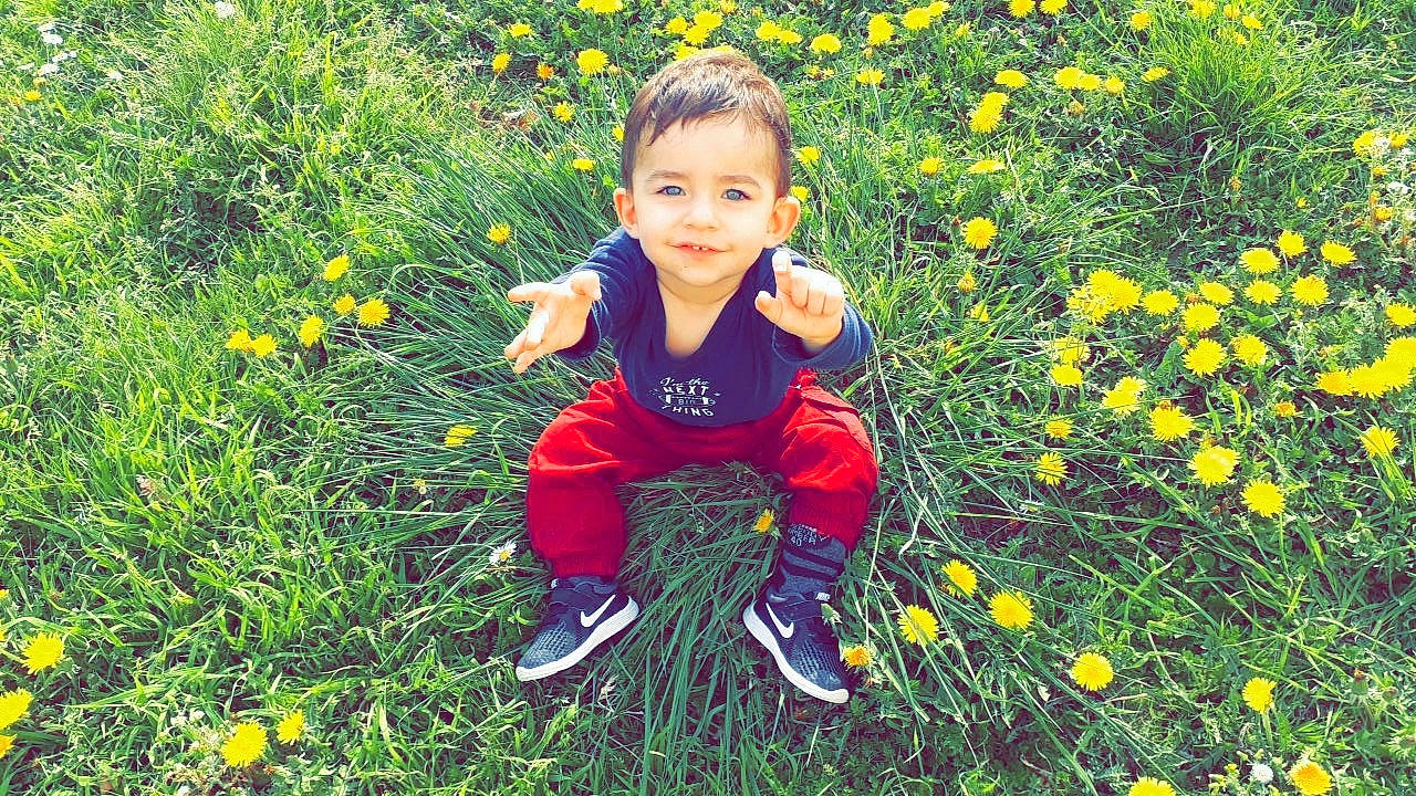 Mikail participe au concours pour gagner de l'argent avec cette photo : autumn, botany, child, flower, grass, happy, joy, meadow, people_in_nature, person, plant, play, sitting, smile, spring, toddler, wildflower, yellow