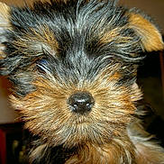 Atomik participe au concours pour gagner de l'argent avec cette photo :
