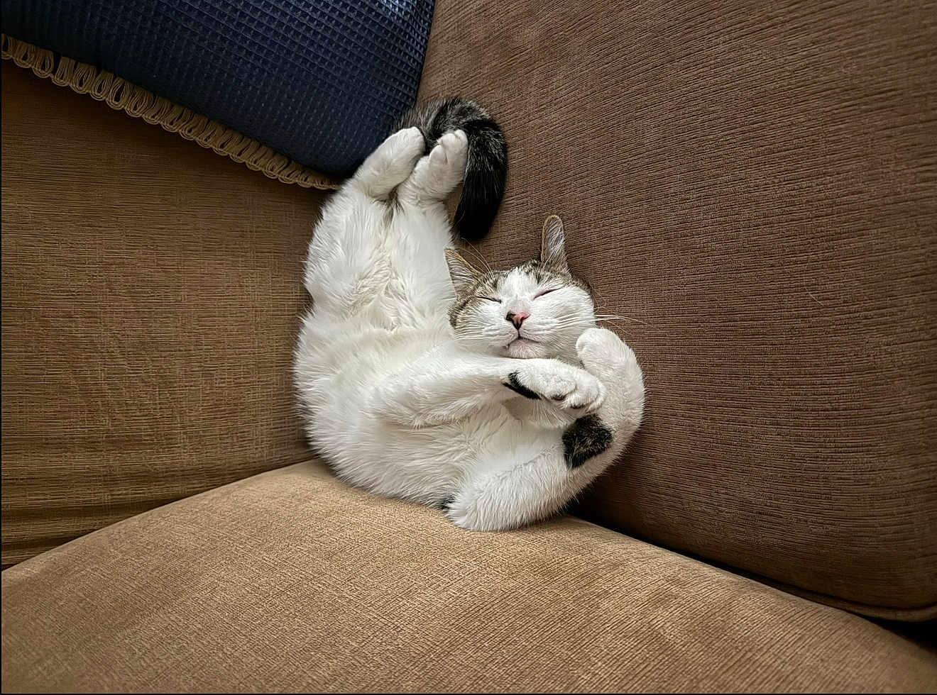 Mochi