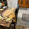 cat, table, chair, kitchen, placemat, refrigerator, towel, magnet, floor_mat, cabinet, relaxing_cat, indoor, marble_table, home, domestic_animal, sleeping_cat, furniture, cozy, pet, resting