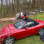 Skippy joined the competition — help win amazing prizes! cat, car, convertible, red_car, outdoor, grass, trees, autumn, leaves, lawn, black_and_white_cat, vehicle, wheel, nature, backyard, quiet, relaxed, daytime, parked_car, feline