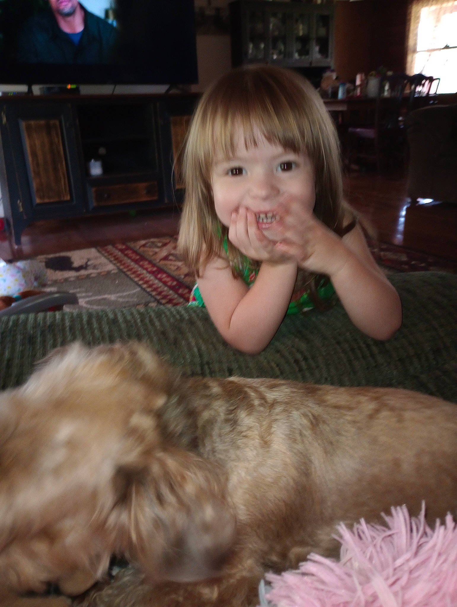 Ellie is registered to the contest to win money with this photo: carnivore, child, comfort, companion_dog, dog, dog_breed, event, flooring, fun, fur, joy, lap, liver, living_room, mammal, person, picture_frame, sitting, smile, sporting_group