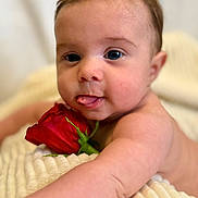 Tripp joined the competition — help win amazing prizes! baby, infant, child, face, eyes, tongue, rose, flower, blanket, bedding, arm, cheek, skin, portrait, close_up, cute, adorable, indoor, human, newborn