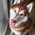 Audrey B.