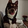 Mishka