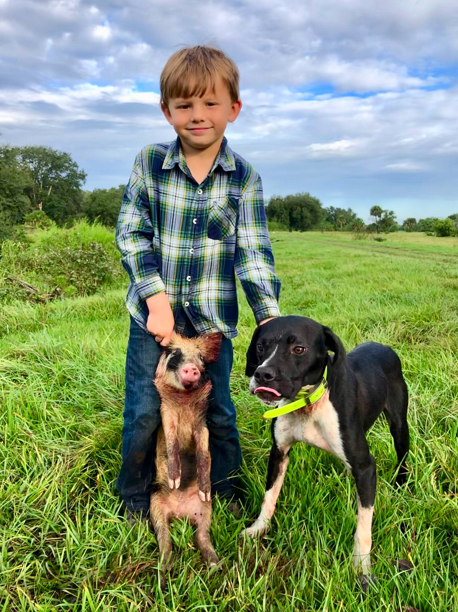 Gannon joined the competition — help win amazing prizes! canidae, carnivore, dog, dog_breed, field_trial, grass, hunting_dog, joy, mammal, person, sporting_group, vertebrate