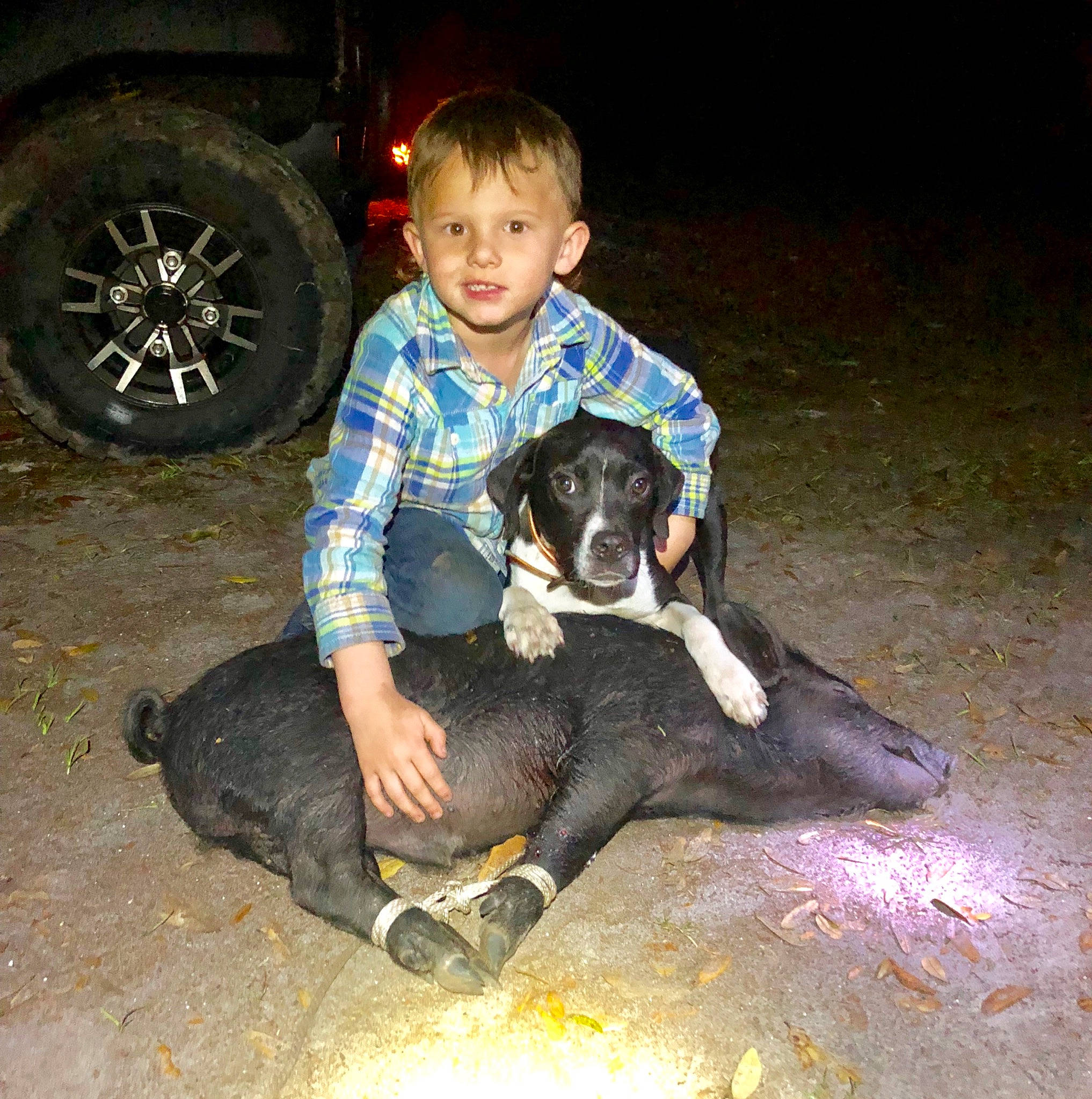 Gannon is registered to the contest to win money with this photo: bluetick_coonhound, canidae, carnivore, dog, dog_breed, fawn, person, sporting_group
