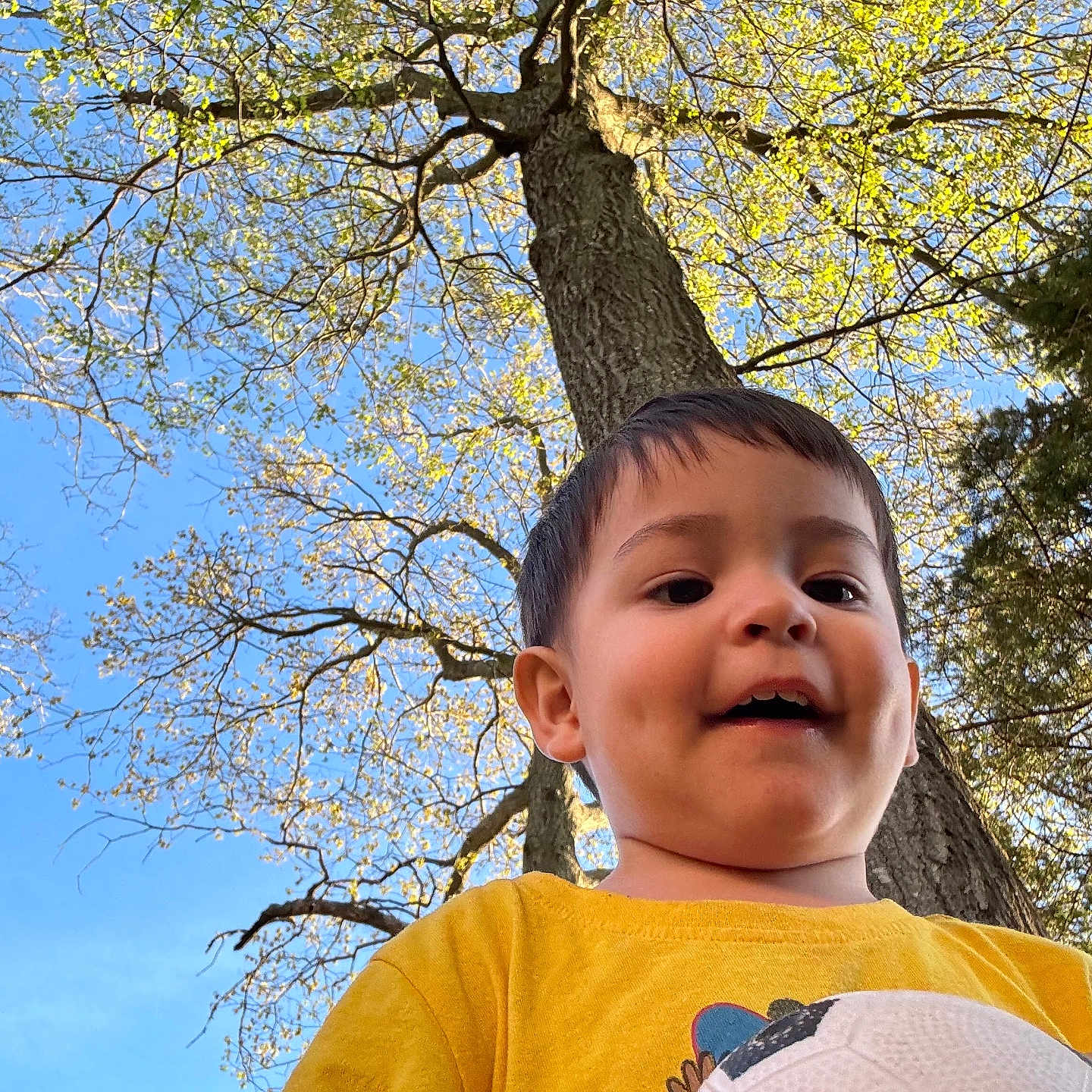Lucas Cano Saez is registered to the contest to win money with this photo: baby, face, grass, grove, happy, head, land, nature, oak, outdoors, park, person, photography, plant, portrait, smile, tree, treetrunk, vegetation, woodland