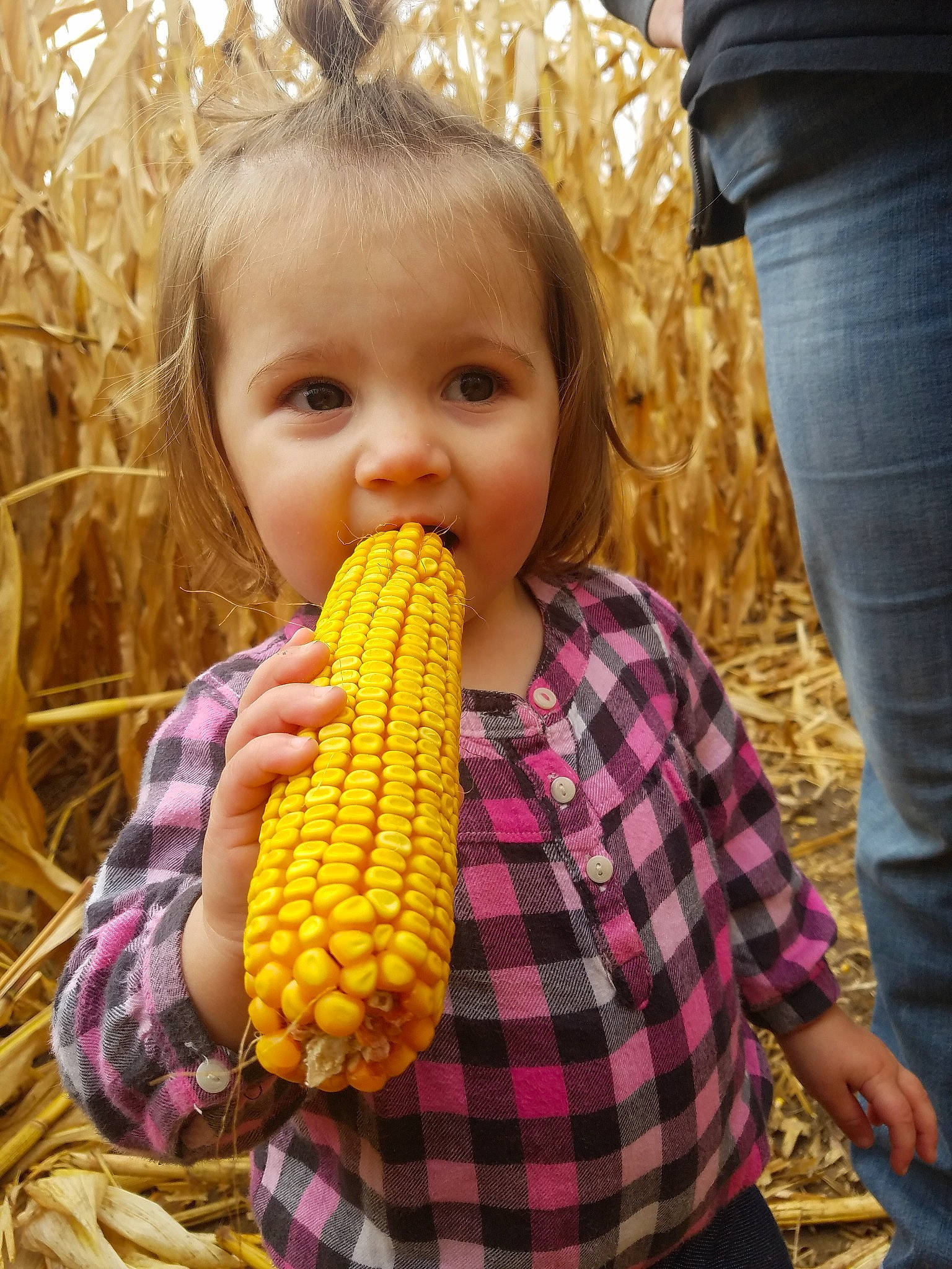 Hemi joined the competition — help win amazing prizes! child, corn, corn_kernels, corn_on_the_cob, cuisine, food, food_grain, joy, latin_american_food, mexican_food, person, plant, produce, sweet_corn, vegetable, vegetarian_food