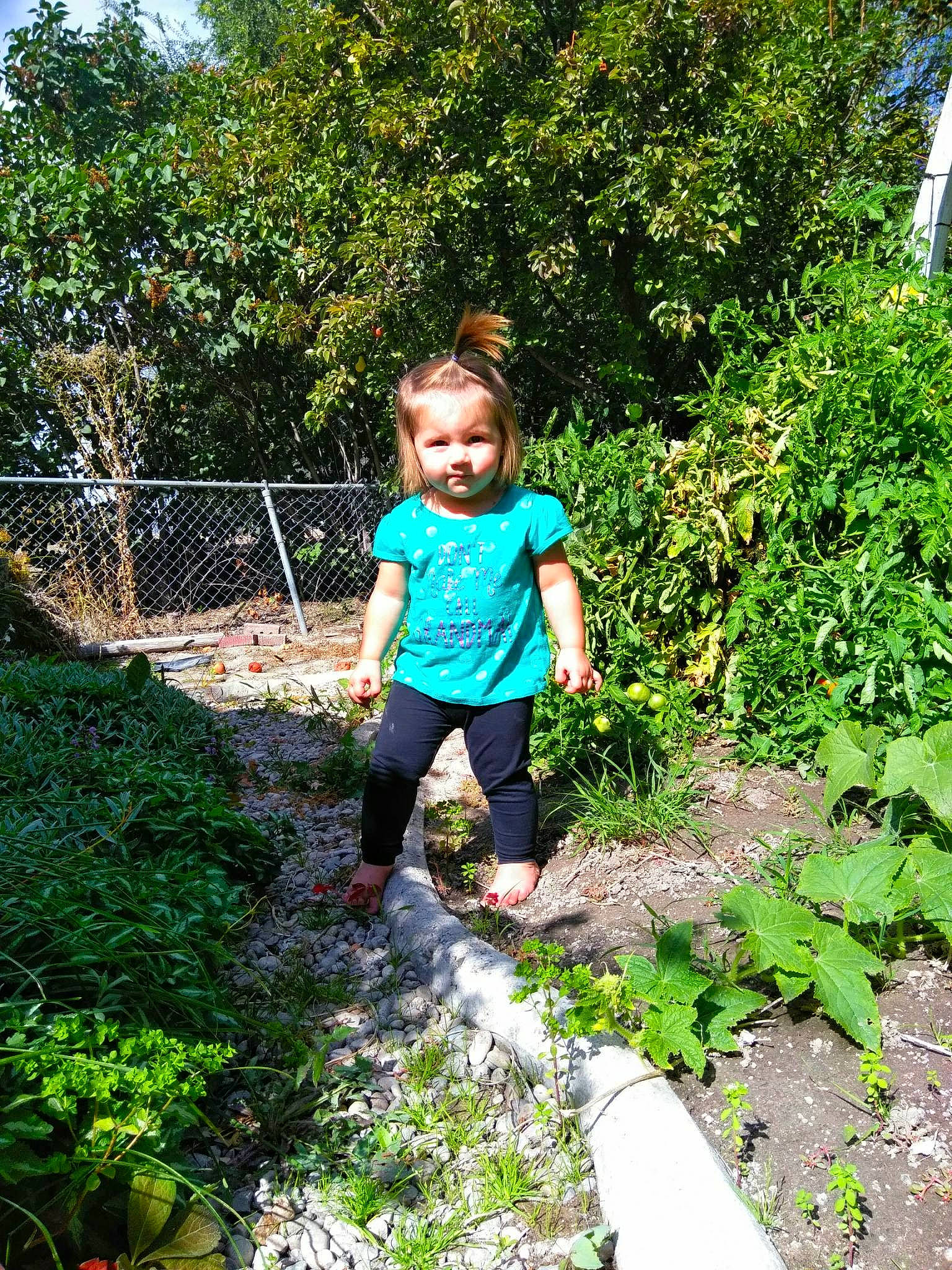 Hemi joined the competition — help win amazing prizes! botany, child, garden, gardening, jungle, leisure, person, plant, play, shrub, soil, tree, vacation