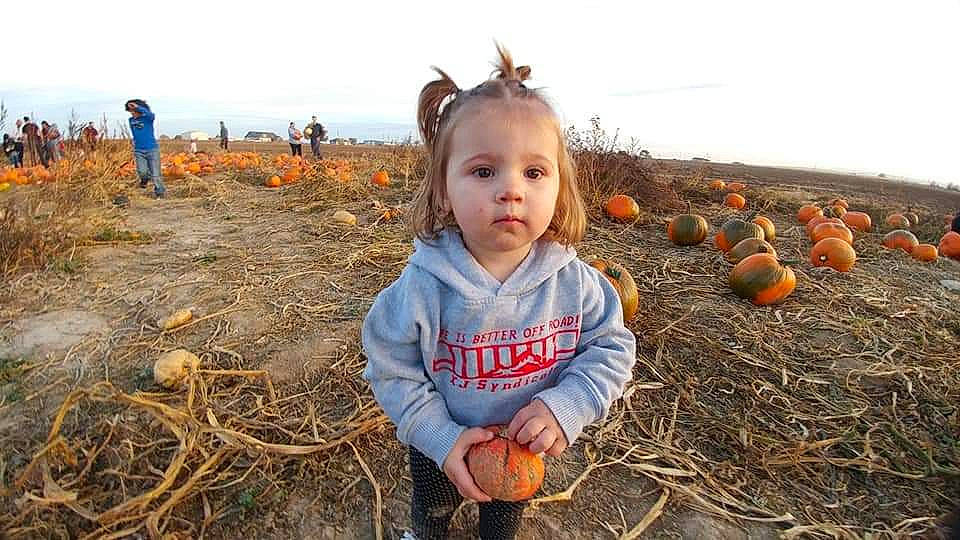 Hemi is registered to the contest to win money with this photo: calabaza, child, cucurbita, farm, gourd, person, plant, pumpkin, toddler, vegetable, winter_squash