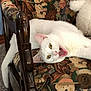 white_cat, cat, chair, upholstery, teddy_bear_pattern, animal, pet, feline, indoor, resting, yawning, wooden_armrest, fabric, colorful, patterned_fabric, cute, domestic_cat, yellow_eyes, tongue_out, relaxed