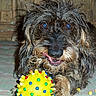 Vanille participe au concours pour gagner de l'argent avec cette photo :