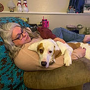 Copper joined the competition — help win amazing prizes! armchair, blanket, blue_curtain, carpet, casual_clothing, comfort, couch, decorations, dog, furniture, glasses, home, indoor, leisure, pet, relaxed, resting, shelf, snowman, woman