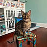 cat, bengal_cat, indoor, furniture, stool, colorful, wooden_floor, cabinet, stickers, pet, curious, animal, household, flooring, wall, decor, sitting, feline, portrait, domestic