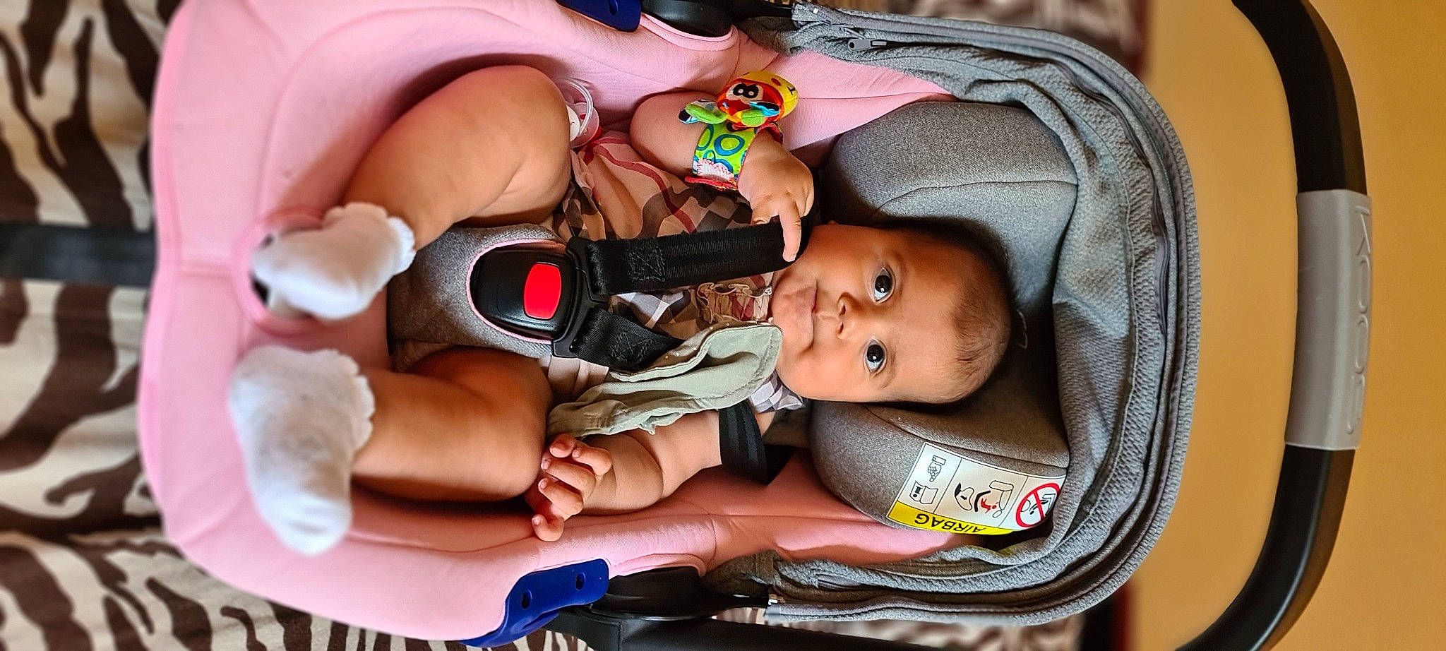 Salomé participe au concours pour gagner de l'argent avec cette photo : baby, baby_carriage, baby_products, baby_toddler_clothing, cheek, child, comfort, eye, eyebrow, eyelash, fashion_accessory, finger, hairstyle, headgear, iris, mouth, nail, person, pink, skin