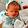 Gavin