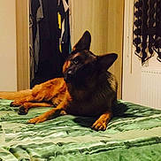 Heros a rejoint le concours — aidez-le/la à gagner de superbes lots !