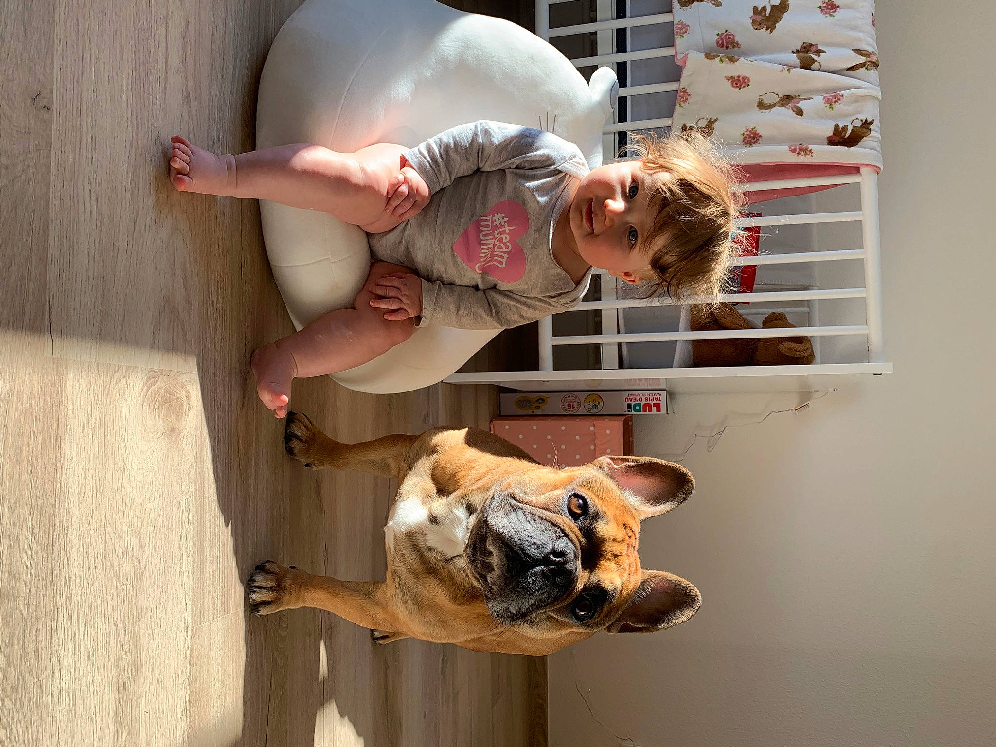 Jade participe au concours pour gagner de l'argent avec cette photo : child, companion_dog, dog, dog_breed, door, elbow, fawn, fun, fur, house, knee, leash, non_sporting_group, person, room, smile, wood, working_animal